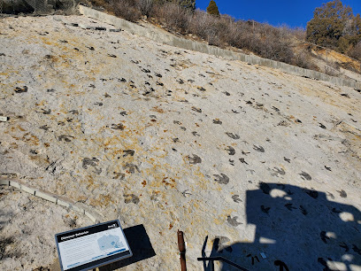 Dinosaur Ridge